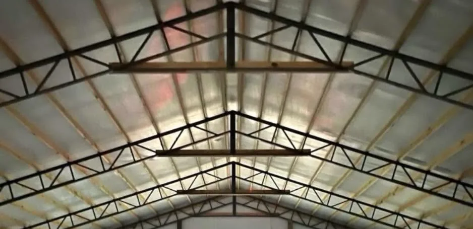 Wide-span building interior with steel trusses and a concrete floor